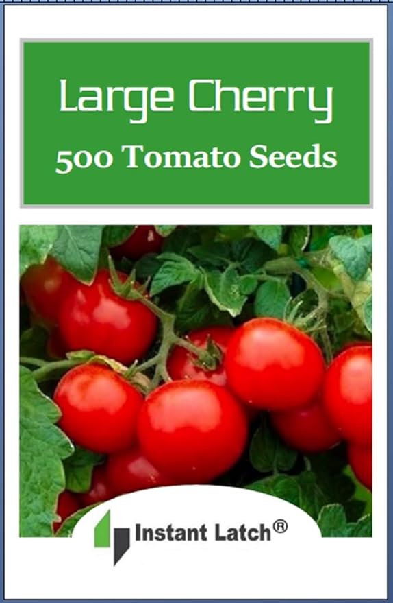 500 Cherry Tomato Seeds Large Heirloom Tomato Seeds for Planting Non GMO USA Vegetable Seed Packet