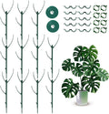 10 Pack Monstera Plant Support, 75inch Stackable Plant Stakes with 20Pcs Clips & 2Pcs Ties, Alternative to Moss Pole Plants Sticks Structures for Climbing Indoor Outdoor Potted Plants