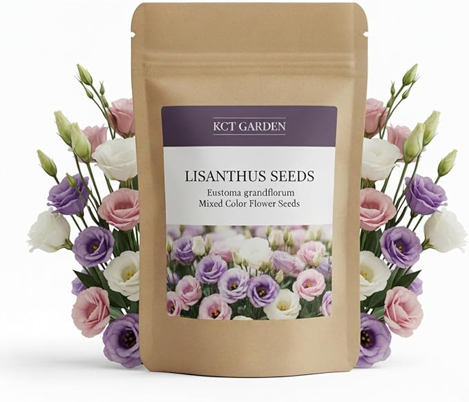 1000 Lisianthus Seeds for Planting, Mixed Color Eustoma Flower Seeds, Thornless Rose Seed, Non-GMO Eustoma Grandiflorum Perennial Garden Indoor Blooms
