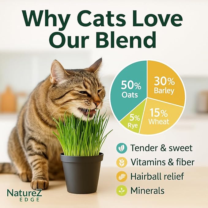 NatureZ Edge Premium Cat Grass Seeds for Indoor Cats, Non GMO - 1/2 lb Oat, Wheat, Barley & Rye Grass for Indoor Cats, Cat Plant, Kitty Lawn, Pet Grass, Hierba para Gatos, Made in USA