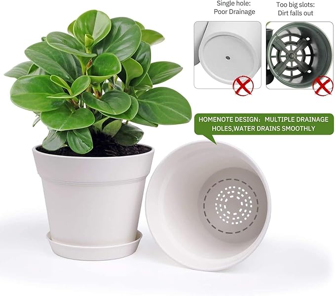 homenote Plant Pots,6 Inch Flower Pots for Plants Plastic Planters for Indoor with Multiple Drainage Holes and Trays, for All Home Garden Flowers Succulents,Outdoor(White&Red,16 Pack)
