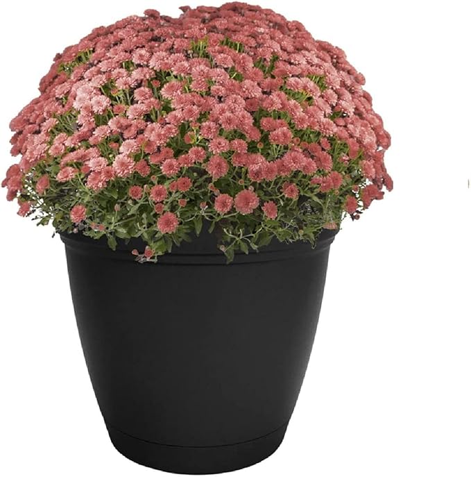 The HC Companies Eclipse Round Planter with Saucer - Outdoor & Indoor Plant Pot with Drainage Holes - Lightweight, UV-Resistant Plastic Pots for Plants, Flowers & Herbs (8" Black, Pack of 1)