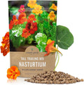 Nasturtium Seeds – Mixed Colors – Bulk Quarter Pound Bag – Over 900 Open Pollinated Non-GMO Flower Seeds – Tropaeolum majus