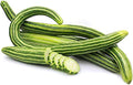 Armenian Striped Snake Cucumber Seeds - 75+ Seeds…