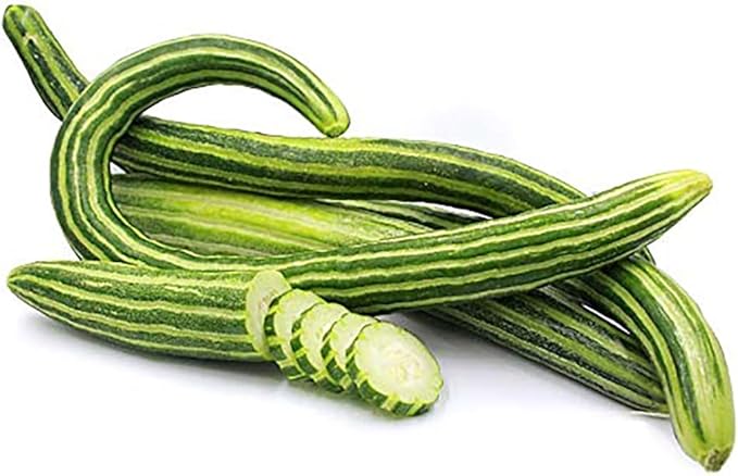 Armenian Striped Snake Cucumber Seeds - 75+ Seeds…