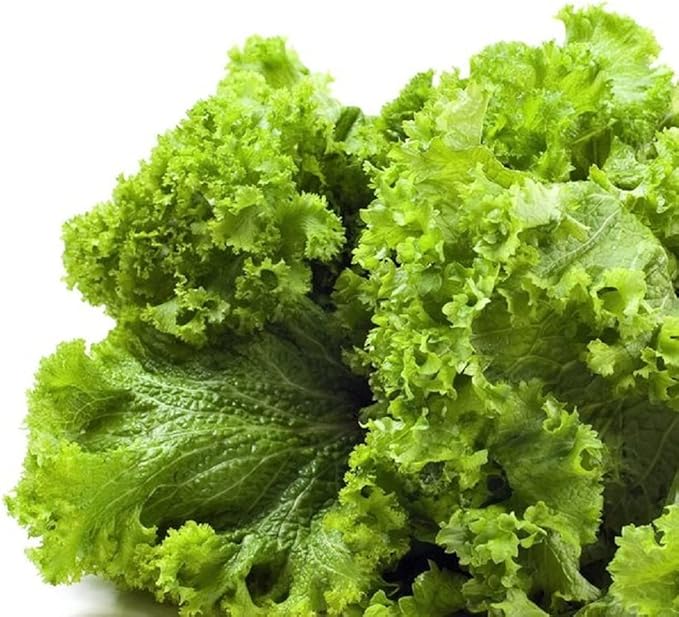Southern Giant Mustard Green Seeds - 100 Count Seed Pack - Upright, Vigorous Hardy Plants with a mild mustardy Flavor. - Country Creek LLC