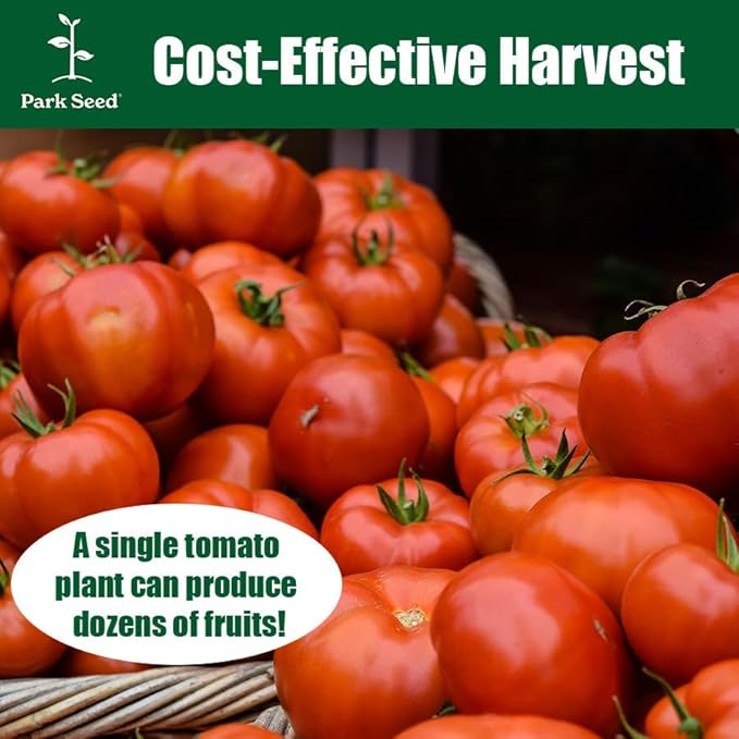 Park Seed Variety of Tomato Seeds, Planting Vegetables, Easy to Grow, Non-GMO, Perfect for Harvesting, Sweet Million Hybrid, Pack of 250