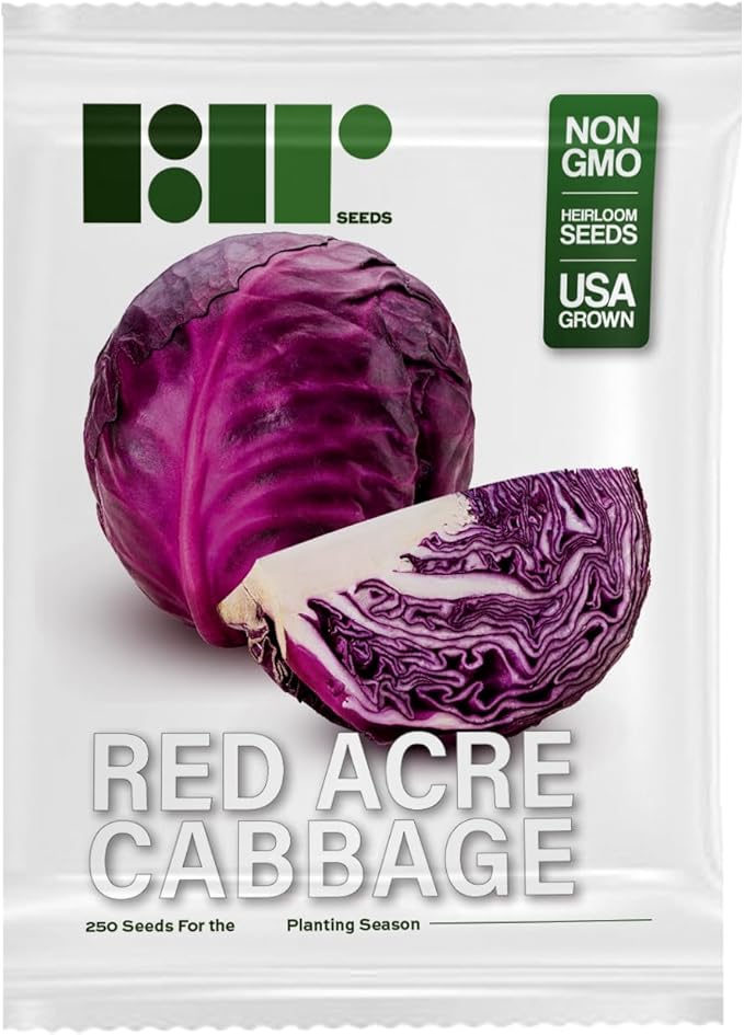 250 Red Acre Cabbage Seeds - Heirloom Non-GMO USA Grown Vegetable Seeds for Planting by RDR Seeds