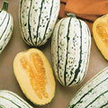 Park Seed Delicata Organic Winter Squash Seeds –Sweet Potato-Like Flavor, Creamy Golden Flesh with Green Stripes, Long-Storing, Easy to Grow Heirloom Favorite, Great for Roasting or Baking, Pack of 20