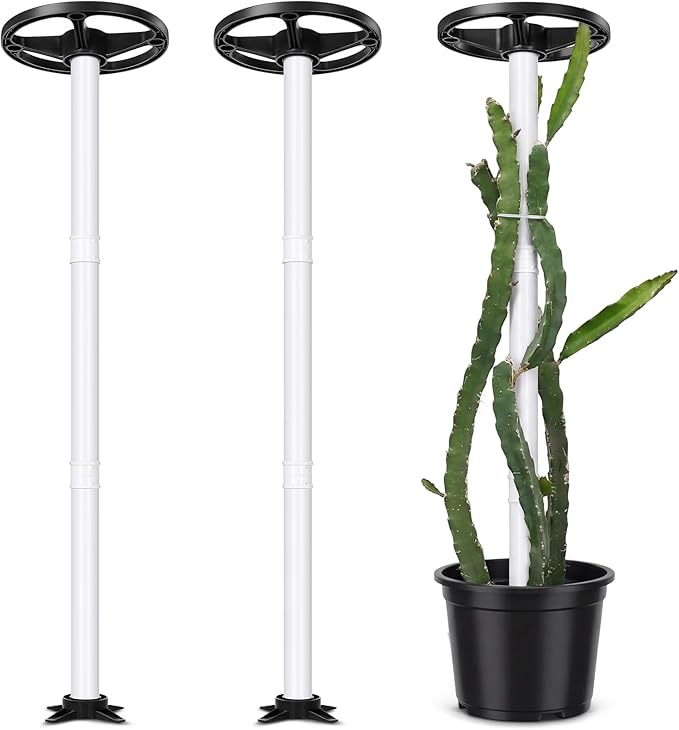 BreezeHug 2 Pcs Dragon Fruit Trellis 12 x 50 Inch PVC Vertical Garden Support for Climbing Vines, Tomatoes, Cucumbers, Beans, Vertical Garden Trellis, Requires Assembly