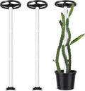 BreezeHug 2 Pcs Dragon Fruit Trellis 12 x 50 Inch PVC Vertical Garden Support for Climbing Vines, Tomatoes, Cucumbers, Beans, Vertical Garden Trellis, Requires Assembly