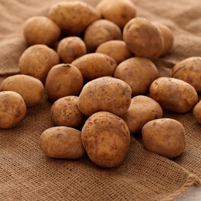 60 Red Potato Seeds for Growing Outdoors, True Potato Seeds Easy to Plant