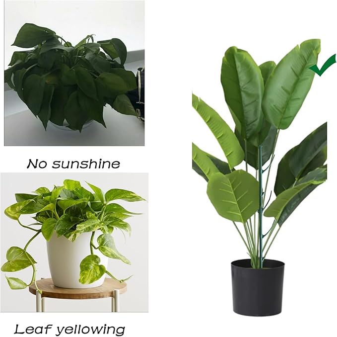 Yvpsi 12 Pack Stackable Plant Support Stakes Climbing Plant Stakes Plant Cage Support for Indoor Outdoor Monstera Plants Potted Garden Accessories