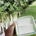Park Seed Easy DIY Planting Sow Effortless Collection Seed Mats, Organic Broccoli Microgreen, (Set of 2)
