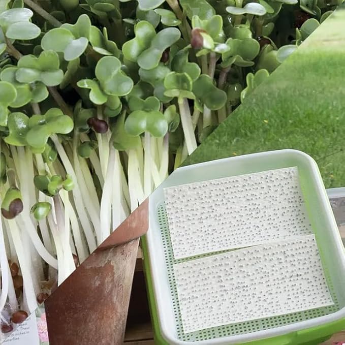 Park Seed Easy DIY Planting Sow Effortless Collection Seed Mats, Organic Broccoli Microgreen, (Set of 2)