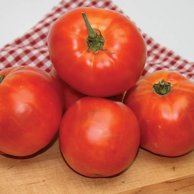 Burpee Heritage Hybrid Tomato Seeds 30 seeds
