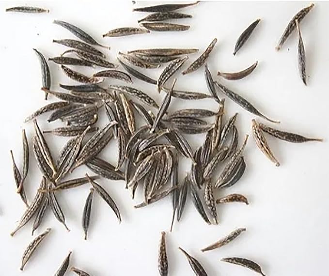 Cosmos Seeds in a Mixture of 11 Varieties - Long Blooming Period in All Zones - Easy to Grow