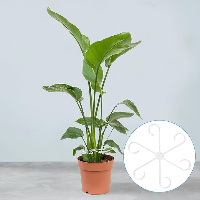 8pcs Plant Stem Support, Plastic Plant Stem Holder for Climbing Plants, 4 Sizes Reusable Houseplant Support Stakes for Orchids Peonies Marigolds Tomatoes Saplings Indoor Outdoor Use- Clear