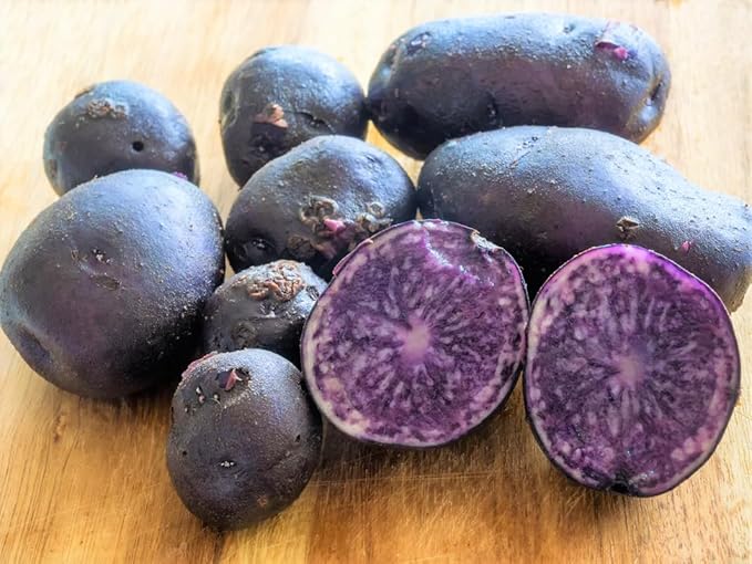 Purple Potato Seeds, 60 Seeds True Potato Seeds Vegetable Seeds for Growing