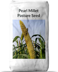 Outsidepride 5 lb Pearl Millet Pasture Seed for Planting
