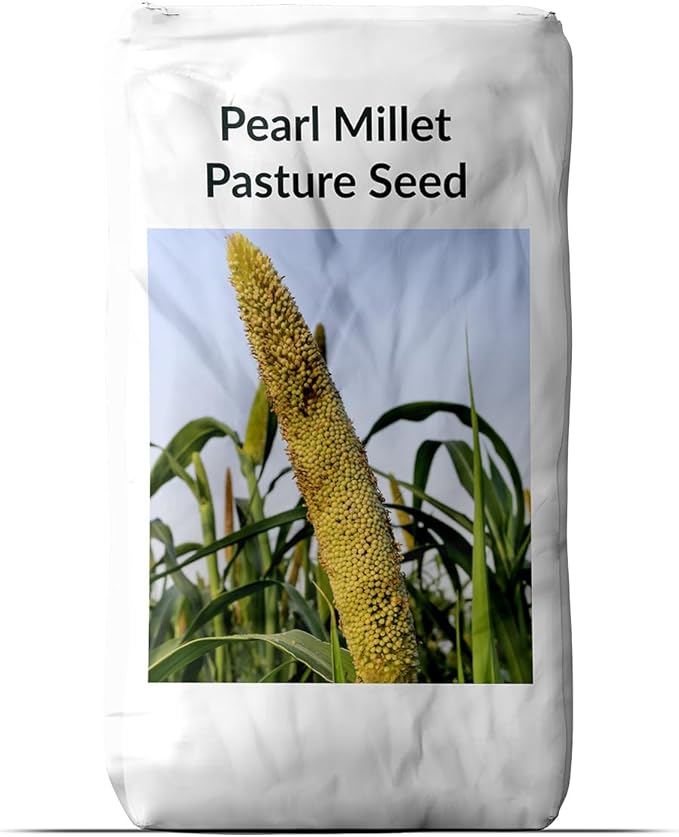 Outsidepride 5 lb Pearl Millet Pasture Seed for Planting