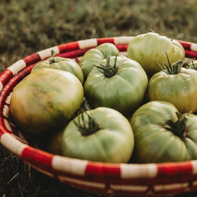 Aunt Ruby's German Green Tomato - 50 Seeds - Unique Heirloom Variety, Sweet & Subtly Spicy Flavor, Non-GMO Heirloom Tomato Seeds for Planting in The Home Garden, Thresh Seed Company