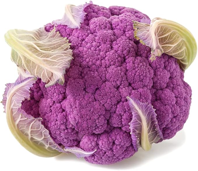 100 Purple Broccoli Seeds | Fresh Garden Seeds | Made in USA. Ships from Iowa
