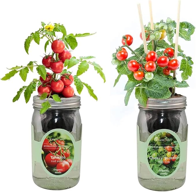 2-Pack Hydroponic Mason Jar Herb Garden Kit, Indoor Herb Garden Self-Watering Starter Kit, New Christmas Gift for Mom (Cherry Tomato,Red Robin Tmato)