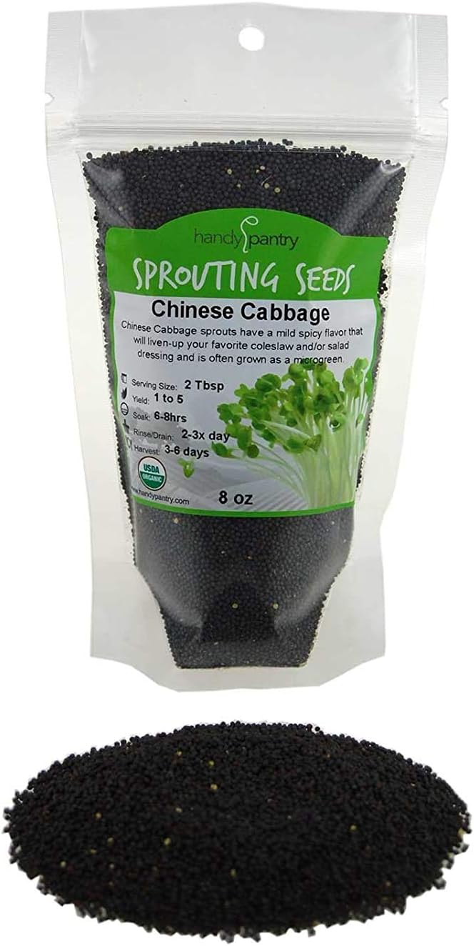 Chinese Cabbage Sprouting Seed - 1/2 Lbs (8 Oz.) - Perfect for Edible Seeds, Gardening, Hydroponics, Growing Salad Greens, Sprouts & Food Storage