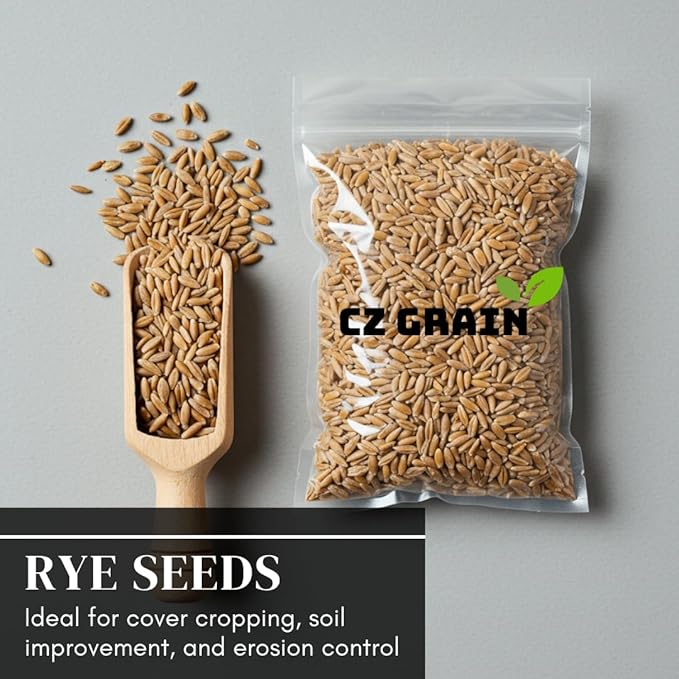 Perennial Ryegrass Seeds for Planting - Premium Quality Non-GMO Grass Seed for Lawns, Pastures, and Sports Fields (1/2 Pound)