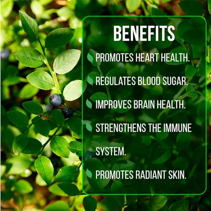 Blueberry Plant Biloxi (4 Pack) Live for Sale | Easy to Grow Plants | Edible Fruit Plant for Sustainable Living | Grow Your own Food on Your Edible Organic Garden| Live for Planting| No Seeds