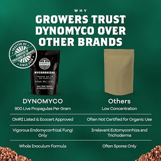 DYNOMYCO Granular Mycorrhizal Fungi Inoculant, 50g/1.76oz – Boosts Root Growth, Yields & Nutrient Uptake – 900 Propagules/g, Concentrated Granules, & OMRI Listed – Biofertilizer for Plant Growth