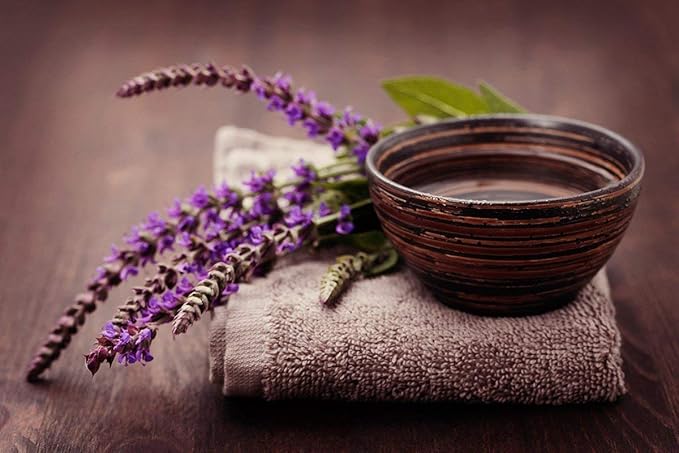 NIKA SEEDS - Seeds Herb Sage (Salvia Officinalis) Medicinal - 25 Seeds
