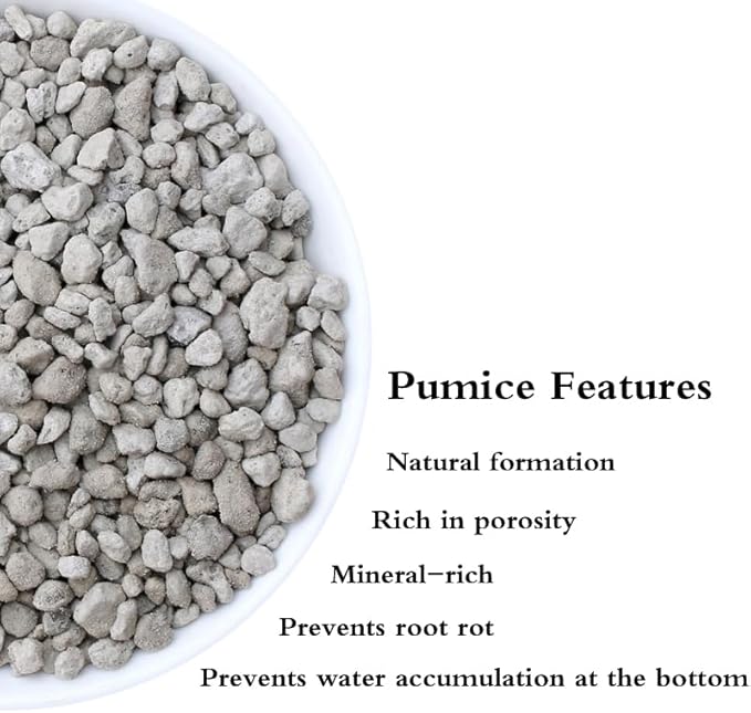 Garden Pumice Rock Horticultural Cactus Bonsai Succulent Soil Additive for Plants, Landscaping, Vase Fillers (1/2 inch, 10QT)