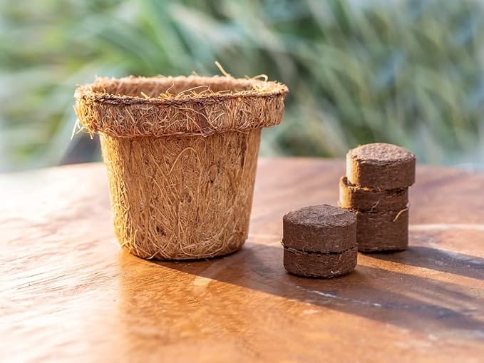 Envelor Coco Coir Seed Starting Pellets 0.8 Inches Dia - 180 Pack Soil Mix for Seed Starter Kits, Nursery Pots and Seed Trays Compressed Coconut Fiber Pellets Indoor Plants Potting Soil Coco Discs