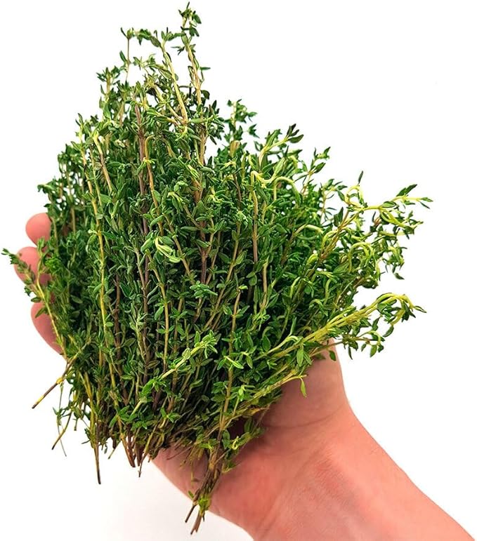 Seeds Summer Savory Heirloom Herbs for Planting Non GMO 800 Seeds