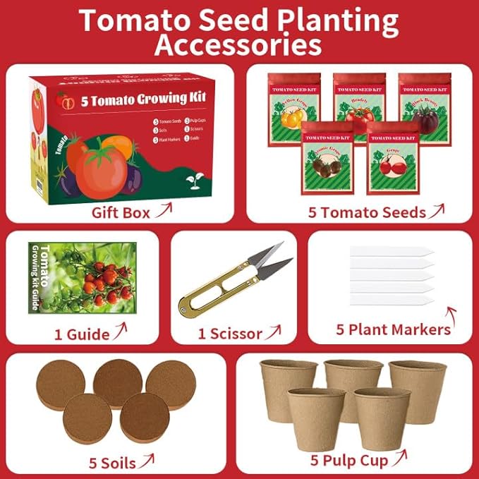 5 Tomato & Tomatillo Garden Seeds Variety Pack - Non-GMO Heirloom Tomato & Tomatillo Seeds with Planting Tools, All-in-One Growing Kit for Christmas Gift & Indoor Home Gardening