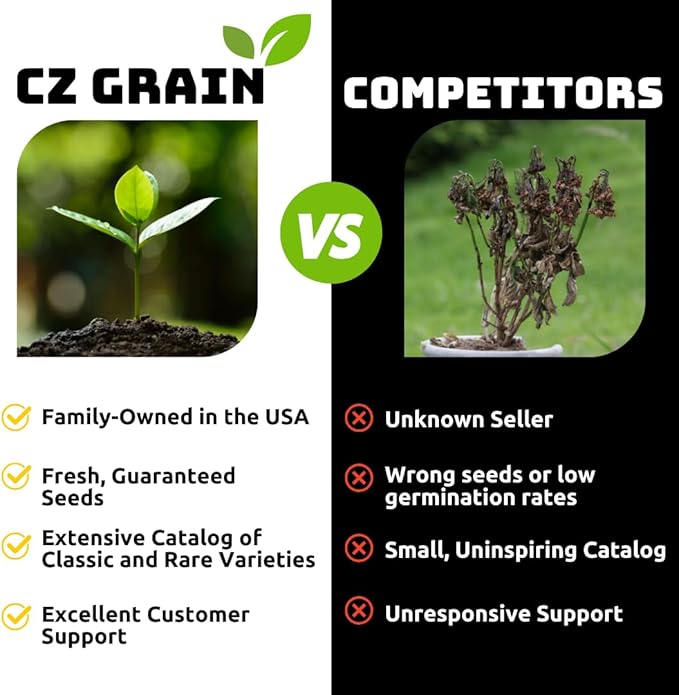 Daffodil Mix Bulbs for Planting - Easy to Grow Perennial Flowers for Garden or Containers (50 Bulbs)