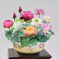 30+ Pcs Bonsai Bowl Lotus Seeds, Water Lily Flower Plant Seed Flowering Aquatic Fresh Garden Seeds for Pond Home Planting Ornamental(Mixed Color)