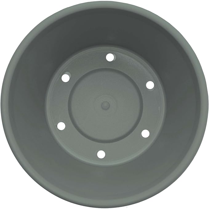 Bloem Terra 8" Diameter Round Basil Resin Planter Pot with Drainage Holes for Indoor and Outdoor Gardening