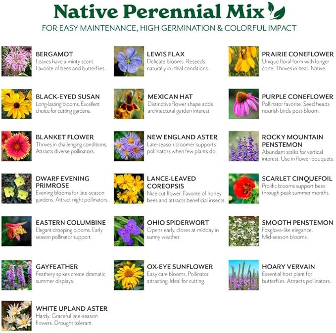 Grow Your Own Vibrant Annual and Perennial Wildflower Garden Seeds Mixture, Varieties for Pollinators and Spring Gardens - Native Perennial Mix, 1/4 lb