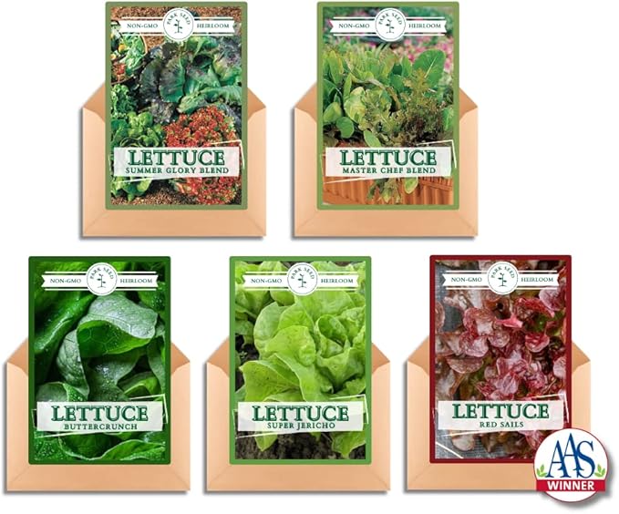 Park Seed Lettuce Salad Mix Edible Plant Seeds – Best Lettuce Collection with Buttercrunch, Red Sails, Super Jericho & More, High Yield & Easy to Grow, Gourmet Variety, Pack of 2600