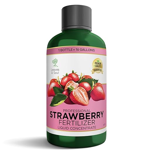 Leaves and Soul Professional Strawberry Fertilizer Liquid Concentrate - 6-4-6 Blend Liquid Garden Fertilizer for Strawberries - Plant Food for Strawberry Bushes and Plants - 8oz