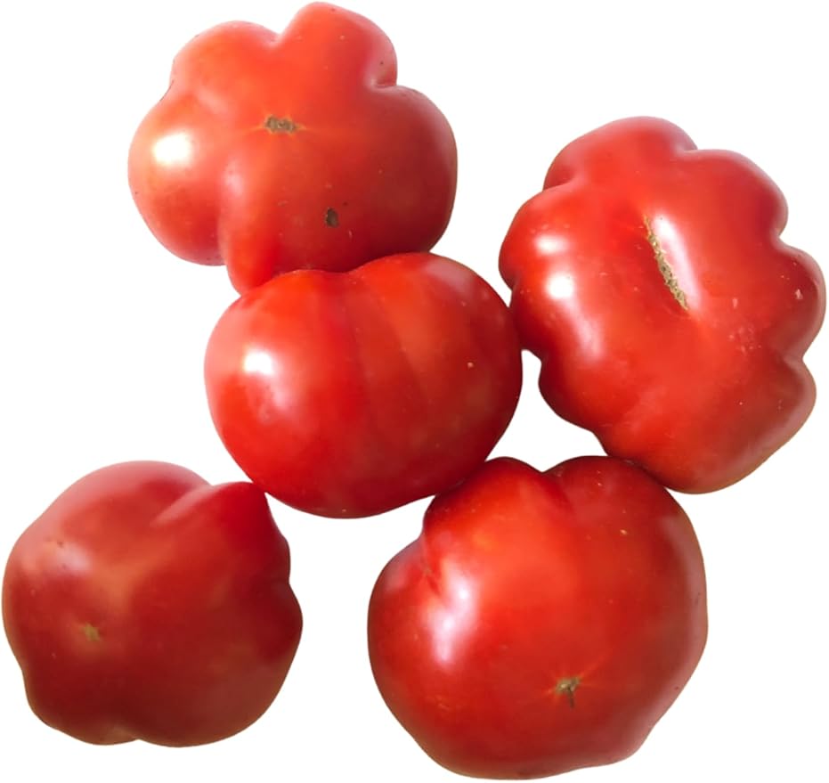 Smoke Camp Crafts Mini Wrinkles Cherry Tomato (Solanum lycopersicum) 150 Organic Seeds (0.5 gram) - Pleated Cherry Tomato