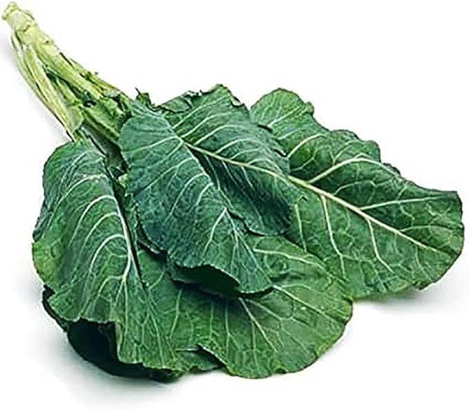 Champion Collard Seeds - Blue-Green Cabbage-Like Delicious Leaves