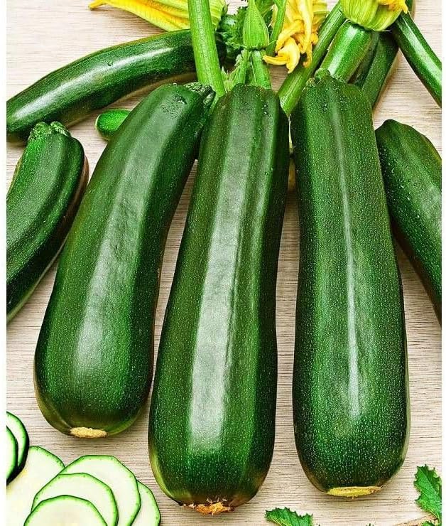 Seeds4planting - Seeds SunGreen Zucchini Squash Non GMO Vegetable Heirloom for Planting