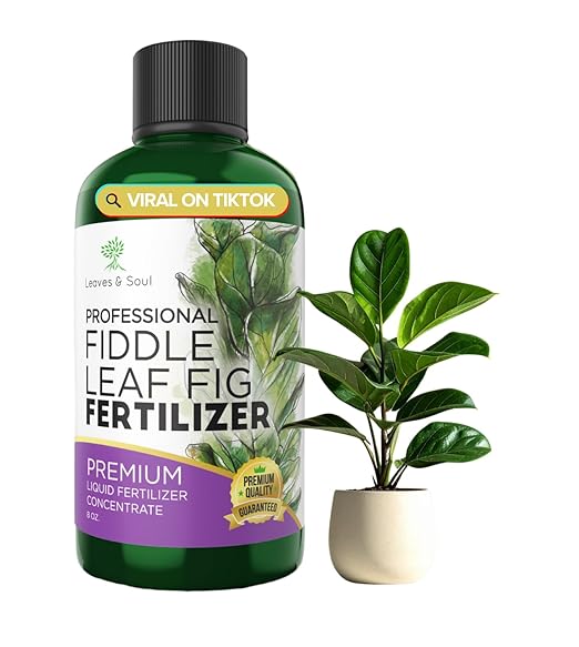 Leaves and Soul Professional Liquid Fiddle Leaf Fig Plant Fertilizer | 3-1-2 Concentrate for House Plants | 8 oz Bottle