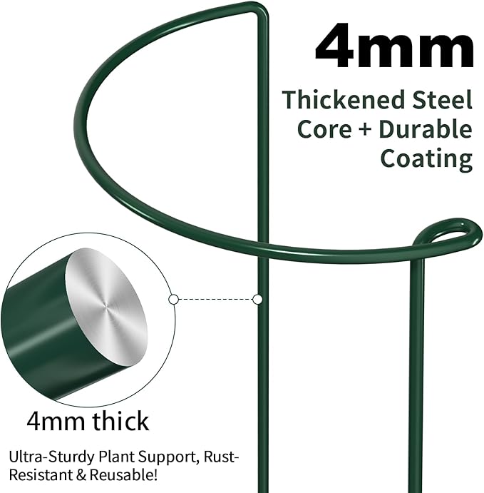 AMAGABELI GARDEN & HOME 20 Pack Plant Support Stakes 10" W x 24" H Heavy Duty Half Round Peony Cage Metal Garden Support Structures Plant Cage with Ties for Indoor Flower Tomato Hydrangea Monstera