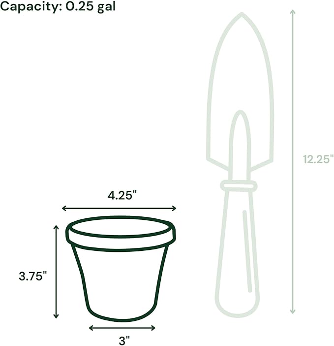 Bloem Terra 4" Diameter Round Basil Resin Planter Pot with Pre-Drilled Drainage Holes for Indoor and Outdoor Gardening