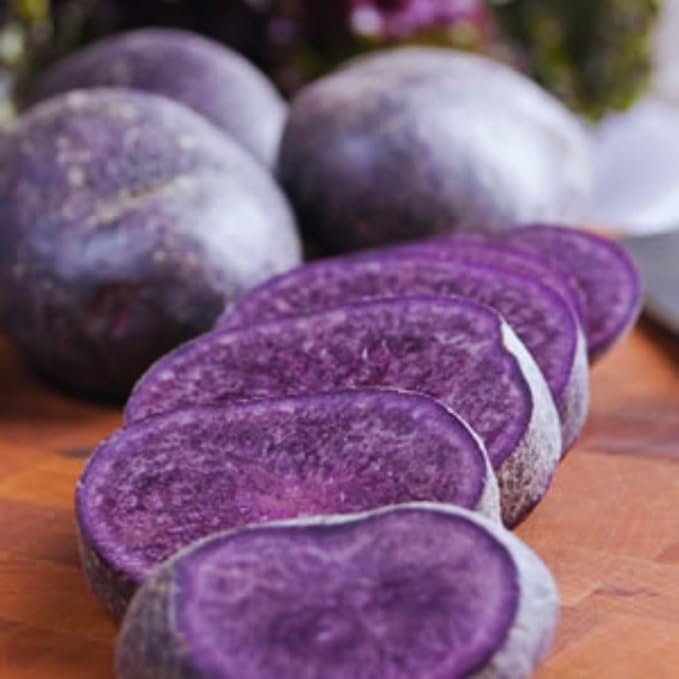 2 Lbs Purple Potato Tubers High Yielding for Outdoor Planting, Vegetables Potatoes Plants Bulbs Seeds, Heirloom Seed Potato Live Tuber